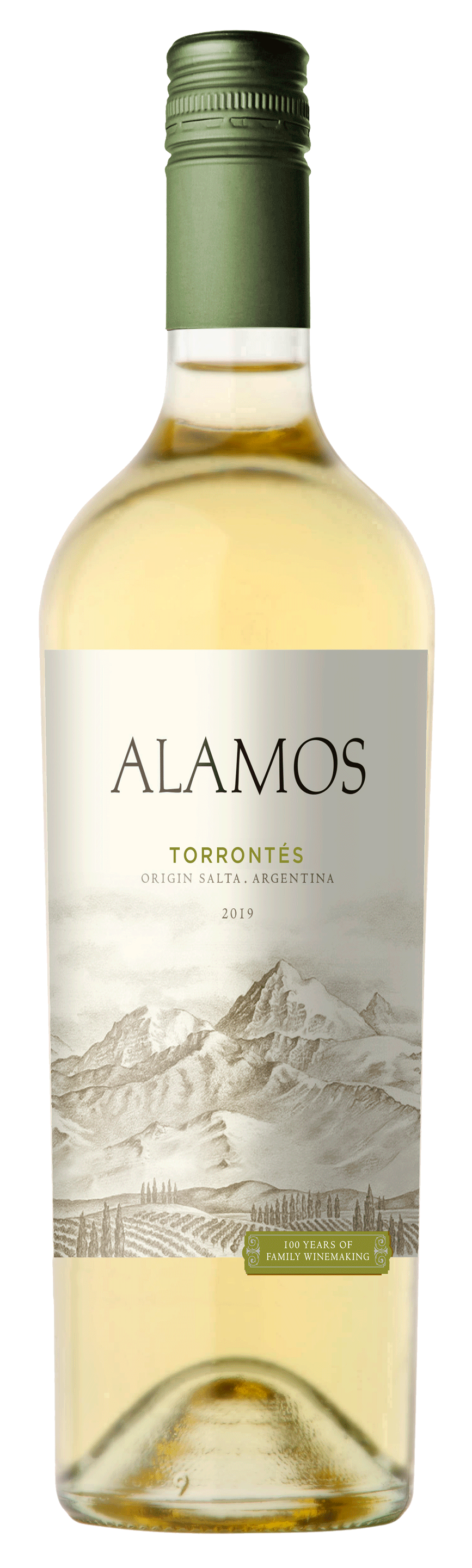 torrontes